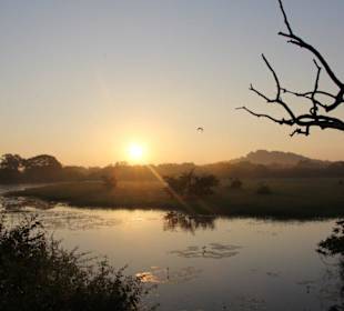 Safari - Yala National Park