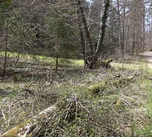 Fäulbachtal