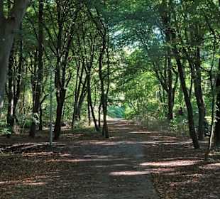 Rundgang durch den Kurpark Calvarienberg