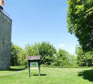 Burgruine