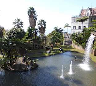Unterwegs im Tropical Garden
