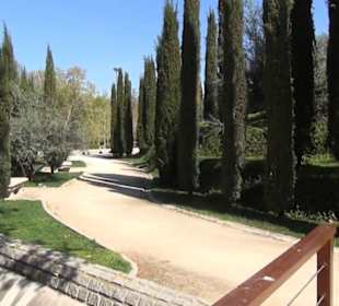 Bosque del Recuerdo