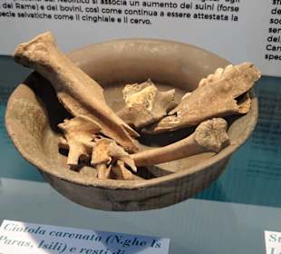 Exponate des archäologischen Nationalmuseums