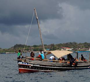 Wasini Delphin und Schnorcheltour
