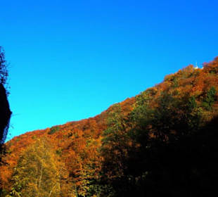 Gegend von Weidenloh