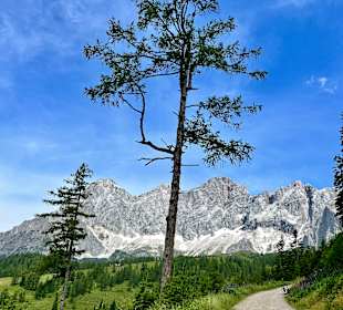 Wandern Schladming