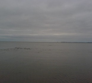 Tagesausflug: Fahrt mit der Fähre nach Föhr