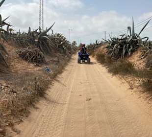Quad Tour Midoun