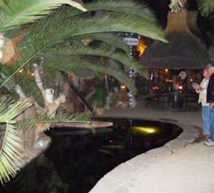 Karpenteich in der Mitte