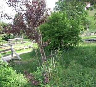 Wanderung Klosterquelle Klosterreichenbach