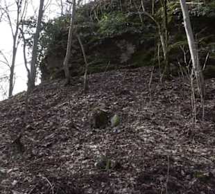 Burgruine Hohenwittlingen