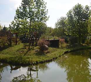 Zoo