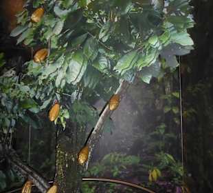 Schokoladenmuseum Köln