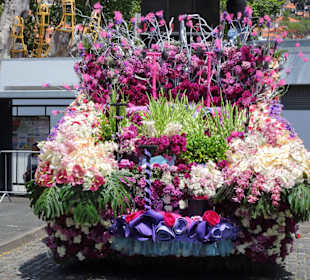Umzugswagen des Blumenfestivals