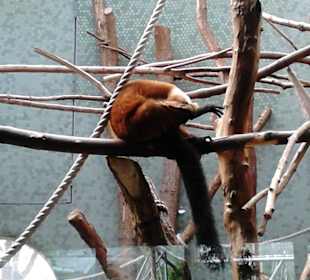 Tierpark Hellabrunn in München