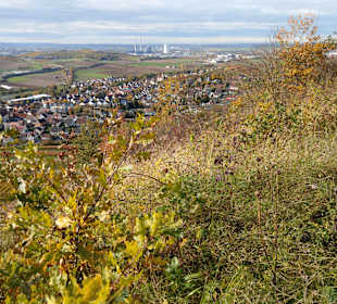 Wandern Erlenbach
