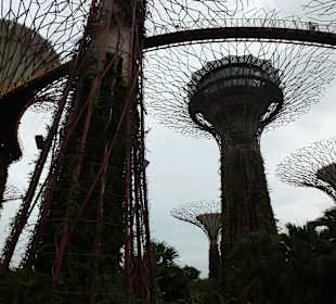 Gardens by the Bay