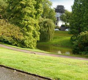 Stadtpark Bochum