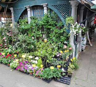 Blumenhändler in der Mercado do Bolhão