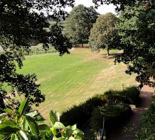 Herbstspaziergang durch Knoops Park