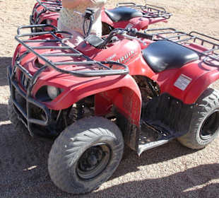 Quad Tour