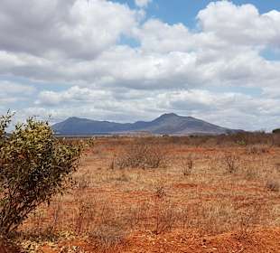 Tsavo Ost und West Safari