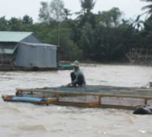 Garnelen-Fischzuchtbauer auf dem Mekong