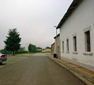 Die Zitadelle Petersberg 