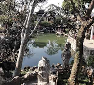 Вид на озеро в саду Львиная Роща