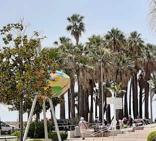 La Croisette