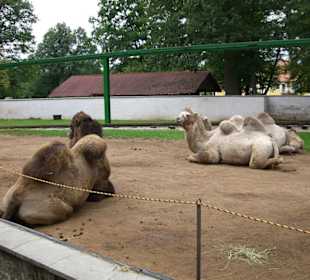 Im Freizeitpark