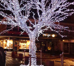 Baum mit Lichterkette