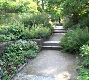 Botanischer Garten München