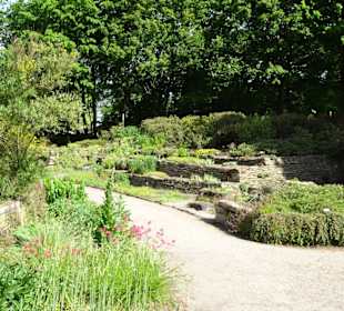 Spaziergang durch den Botanischen Garten Bremen