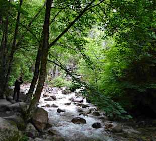 Shannon Falls Provincial Park