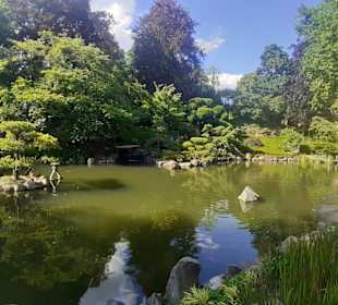 Japanischer Garten in Kaiserslautern