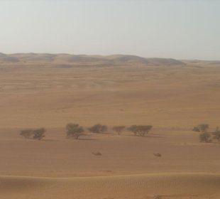 Wüstenausflug