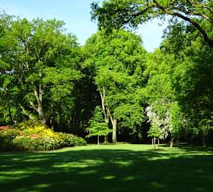 Hauptblüte im Rhododendronpark Bremen