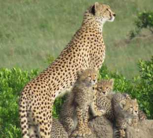 Malaika und ihre Kids