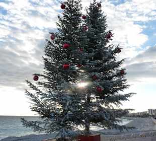 Weihnachten in Nizza