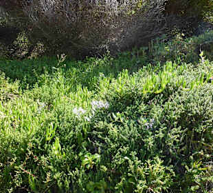 Aussichtspunkt Knysna