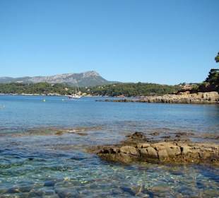 Le port des oursiniéres