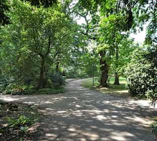 Rundgang durch den Botanischen Garten