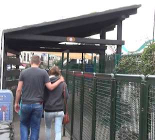 Themenbereich Island