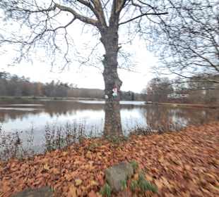 Naherholungsgebiet Jägersburg in Homburg