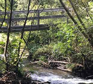 Wandern Bad Kleinkirchheim
