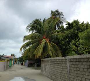 Ulica na Maafushi