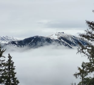 Ausblick