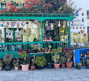 Wandern Puerto del Carmen