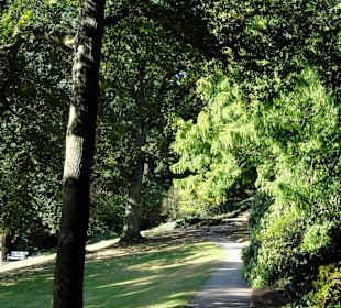 Herbstspaziergang durch Knoops Park